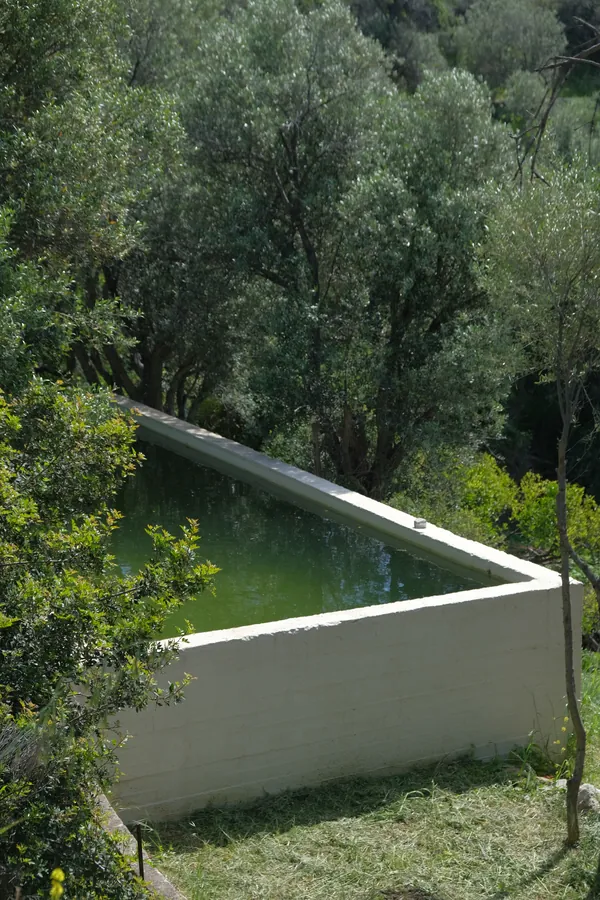 The reservoir among the trees